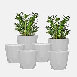 YUCCABE ITALIA SHERA Hexa 8 Inch Pack of 6 Piece Plastic Plant Pot for Home Decor Indoor Plant Pots for Living Room Plastic Flower Pot for Garden (White)-image-59