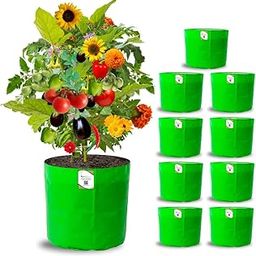 ORGANIC BAZAR 12x12 Grow Bags for Terrace Garden, Premium HDPE 260 GSM Green Planters for Vegetables, Flowers, and Indoor Outdoor Plants (Pack of 10)-image-27