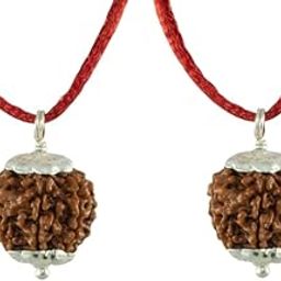 Amazing 5 Mukhi Rudraksha Original Certified Nepali Beads 5 Face Rudraksha Buy 1 Get 1 Free Five Mukhi Rudraksha with Pendant Panchmukhi Rudraksha For Men & Women पंचमुखी रुद्राक्ष ओरिजिनल-26
