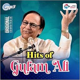 GENERIC PENDRIVE - GULAM ALI Hits / MP3, Audio/Bollywood Song/CAR Song/Long Drive/Night Drive/Best Travelling Song / 16GB-10