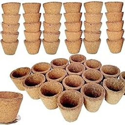BSR Cow Panchgavya Dhuni Cups (Empty), Sambrani Dhoop Cups, Cup sambrani(100 Pieces)-image-67