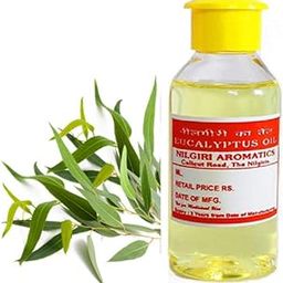 Nilgiri Pure Eucalyptus oil - 500 ml-image-8