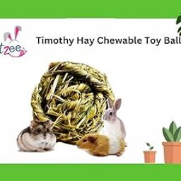 100% Organic Timothy Hay Chewable Toy Ball for Rabbits, Guinea Pigs, Hamsters, and Other Small Animals | All Life Stages | High Fiber Food-31