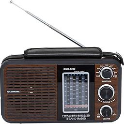 Olsenmark Rechargeable Radio, BT/USB/SD /MP3 Music Player, Excellent Sound Quality, Bluetooth Speaker, Lightweight Portable FM Radio, 8 Band Radio with MP3/WMA Double Decoding-85