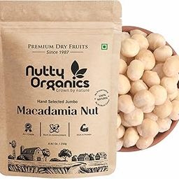 NUTTY ORGANICS Macadamia Nuts - 250 GM | Imported (Grade A ++ Nuts, Premium Jumbo Size, Imported)-image-16