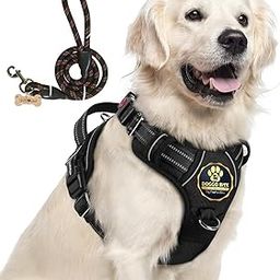 Doggo Bite Premium Reflective Dog Vest Harness| Soft Breathable| Padded Handle| Adjustable Straps & Luxury Buckle| No-Choke with Free Designer Leash-32mm| Chest (26-33 inch) All Large Breeds 23-35 Kg-image-4