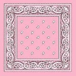 Unisex Cotton Paisley Printed Cowboy Bandanas-image-99