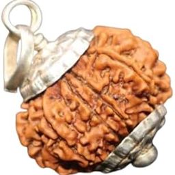 Original 9 Mukhi Rudraksha Pendant with Silver Cap | Authentic & Lab-Tested | Divine Blessings 9 Face Nav Nau Mukhi 9 मुखी रुद्राक्ष-image-9