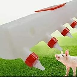 Piglet Milk Feeder | Pig Feeding Machine | Small Animal Feeding Machine for Piglet, Goat | 7 Silicone Nipples | 8 Litre | Nipple Feeder for Piglets and Lambs, Veterinary Milk Feeder, Piglet Feeding-image-48