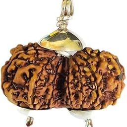 BluDiamond गौरीशंकर रुद्राक्ष Gaurishankar Rudraksh Original Certified Combined Rudraksha 22mm Gorishankar Rudraks गौरी शंकर रुद्राक्ष Gowri Shankar Rudraksha for Men Brown Gauri Shankar Rudraks-20