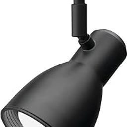 Lithonia Lighting LTHNSTBF BR20 DBL M2 Deflector Head Track Lighting, Black-image-84