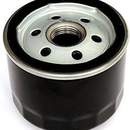 Aowbikes Oil Filter Compatible for Benelli TNT-19