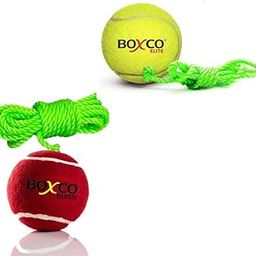 BOXCO Hanging Cricket Ball Set, 1 Velocity Heavy Weight and 1 Elite Light Weight, Practice Combo-image-40