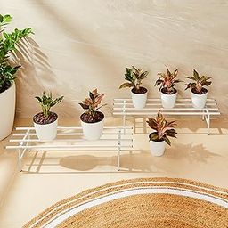 Amazon Brand - Solimo Folding Metal Plant Stand (Pack of 2, White) – Heavy-Duty, 50 kg/Shelf Load Capacity, 22.5 x 79 x 18 cm, Indoor & Outdoor Use-image-84