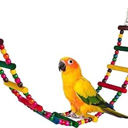 KSK 12 Steps Bird Toys 31 inch Wood Bird Ladder, Step Parrot Ladder Swing ,Chewing Toys, Bridge,Bird Cage Accessories Decorative Flexible Cage Wooden Rainbow Toy for Cockatiel Conure Parakeet Birdcage Lovebirds, FinchesTraining Toys-image-15
