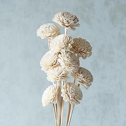 Flowers and Fillers || White Sola Belly 8 cm On Stem (10 Sticks) | Natural Dried Flower | Eco-Friendly Flowers for Home, Office, Bedroom, Table Decoration and Craft Items Corner (Without Vase Pot)-image-73