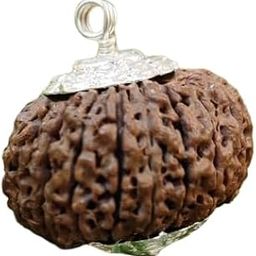 BluDiamond 16 Mukhi Rudraksha Original Certified Nepali Natural Sixteen Mukhi Rudraksha Silver Pendant Solah Mukhi Rudraksha Prayer Bead सोलह मुखी रुद्राक्ष 16 Face Rudraksha For Women-picture-36