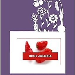 VibeX F1 Hybrid Bhut Jolokia Hot Chilli Seeds-300 Seeds-image-40
