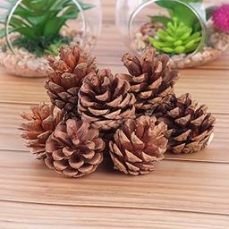 Ascension Natural Pine Cone Wooden Cones Hanging Pinecone for Christmas (Brown) Pack of 6-image-7