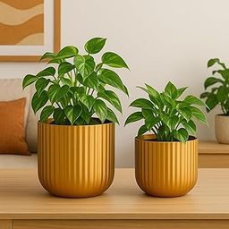 ecofynd 2 Pack Metal Plant Pots (8 inch, 6.3 inch), Indoor Small Planter Flower Pots, Home Garden Decor Planter for Living Room Bedroom Interior (Gold Finish, POT047)-image-27