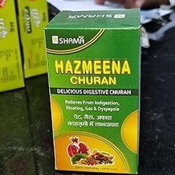 Shama Hazmeena Churan (100G Each Pack Of 3) - 300 Gram-image-65