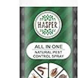 Hasper All In One Insect Control Spray | Insect Repellent Spray | For Cockroach, Bed Bugs, Spider, Fly, Centipede 100% Natural | No Kill Just Repel Easy To Use Non-Toxic (250Ml) |Pack of 1-22