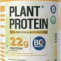 NATURALTEIN Plant Protein – 22g Clean Protein with BC30 Probiotic | Trusted Natural Blend for Strength, Energy & Gut Health | Delicious Natural Mango flavour | No Sugar, Just Pure Wellness-image-30