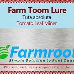 FARMROOT Tuta absoluta Pheromone Lure (10)-image-81
