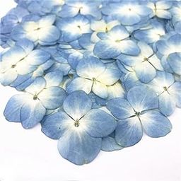 CBM Craftara by Monika Hydrangea Dried Flower Blue Yellow for Resin Natural Pressed Assorted Colorful Flowers for DIY Jewelry Molds Art Crafts Scrapbooking Candle Soap Making Nails Décor-image-95