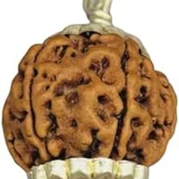 BluDiamond 5 मुखी रुद्राक्ष ओरिजिनल Five Face Rudraksh Original Round Panchmukhi Rudraksa IGL Certified 5 Mukhi Nepali Rudraksha Silver Pendant पांच मुखी रुद्राक्ष Pure 5 Faced Rudraksaa For Locket-5