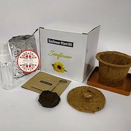Sunflower Plant Growing Kit with Coir Pot, Organic Soil Mix, Seeds, Instruction Manual-image-5