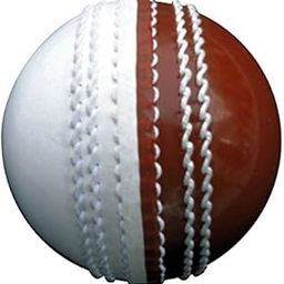Ceela Sports PVC Cricket Training Ball-image-74