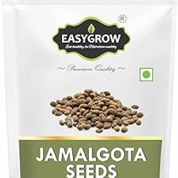 Easygrow Jamalgota Seeds For Hair Growth - 50 GM, Croton Seed | Croton Tiglium Seed | Jamalgota Beej (50 gm)-22