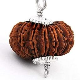 BRAINCORD Certified by Lab Pandrah Mukhi Rudrksha Fifteen Faced Rudraksha 15 मुखी रुद्राक्ष Pashupatinath Rudraksha Fifteen Mukhi Rudraksh for Capped Rudraksh for Wearing Purpose-image-56