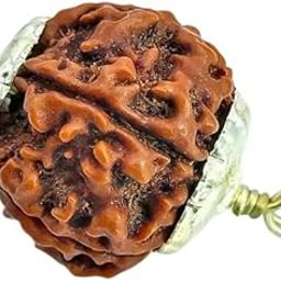 BluDiamond 5 Face Original Nepal Rudraksha Brown Panch Mukhi Rudraksha Bead पांच मुखी रुद्राक्ष 5 Mukhi Rudraksha Original Certified Round Five Mukhi Rudraksha Locket for Men-picture-12