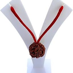 Certified 5 Face Rudraksha Beads Dhaga Locket Original & Real Natural 5 Mukhi Rudraksha Beads Man and Women-image-70
