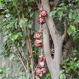 Wonderland New Playful Monkeys in String Hanging Garden|Balcony-image-94