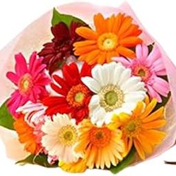 EG2i Fresh Mixed Gerberas Bouquet in Pink Paper & Matching Ribbon Wrapping/Valentine's Gift For Dear Ones- Bunch of 10 Gerberas-image-42