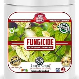 Sansar Green® Fungus Remover, Premium Super Powerful Organic Powder for removing fungus from Plants (50 gm)-image-60