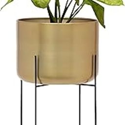 OPAXA LIVING- Gold Metal Planter Pot with Stand Plant Stand Modern Home Decor, Flower Pots, for Living Room Bedroom Balcony Indoor and Outdoor, (Gold) (25 x 25 x 56 CM) (Pack of 1)-image-68