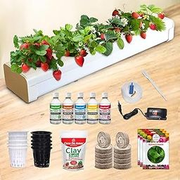 Casa De Amor Hydroponics Deep Water Culture (DWC) Kit for 5 Plants, Exotic Leafy & Herbs, Perfect at Home Kit for Hydroponic Indoor and Outdoor Gardening-image-25