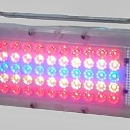 TORPE_50W LED Plant Grow Light Sunlike Full Spectrum AC 230 Volt for Indoor Veg Flowers. (S-50)-25