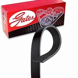 Gates Micro-V Serpentine Belt Compatible with Toyota RAV4 3.5L V6 2006-2012-image-48