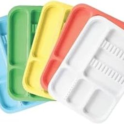 Instrument Tray Plastic Autoclavable Pack Of 10 Piece-image-12