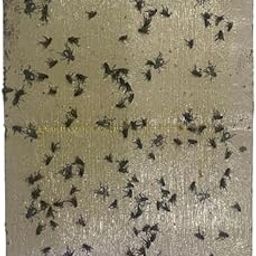 Fly Glue Trap Sticker Paper/Sticky Traps For Home Flies, Pack of20 (Green)-image-51