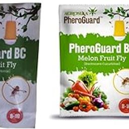 Agrosiaa PheroGuard BC Bactrocera Cucurbitae Lure | Melon Fruit Fly Control for Agriculture Pack of 20 | & | BC Combo Pack Pheromone Lure for Bactrocera Cucurbitae Glass Trap, Pack of 10-image-65