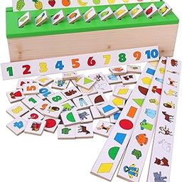 Toyshine Wooden Classification Sorting Box|Montessori Toys for Toddlers Learning Educational Activities Preschool Kindergarten Games Autism Toys Motor Skills STEM for Girls Boys 2-4 Year Old, 80 Pcs-30