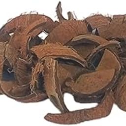 Kokilam Natural Broken Coconut Shells – 500g | Organic Pieces for Crafts, DIY, BBQ Fire Starter, Pooja/Homam | Reptile Substrate, Terrariums, Gardening Mulch | Eco-Friendly & Sustainable-image-67