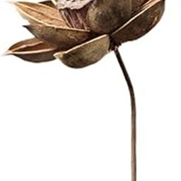 ARTISOUL® Dried Flower Bouquet for Vase Floral Arrangement for Bedroom Birthday Office Style C | Home Decor | Floral Decor-image-81
