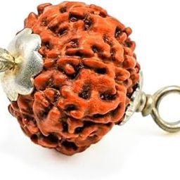 8 Mukhi Indonesian Rudraksha Java Bead Aath Mukhi Rudraksha Pendant 8 मुखी रुद्राक्ष 8 Face Rudraksha Blessed Ganpati Eight Face Rudraksha For Sawan Puja-picture-1